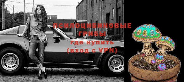 ПСИЛОЦИБИНОВЫЕ ГРИБЫ Алексин