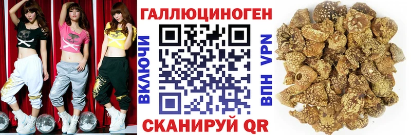 наркошоп  Ардон  mega как зайти  Псилоцибиновые грибы MAGIC MUSHROOMS 